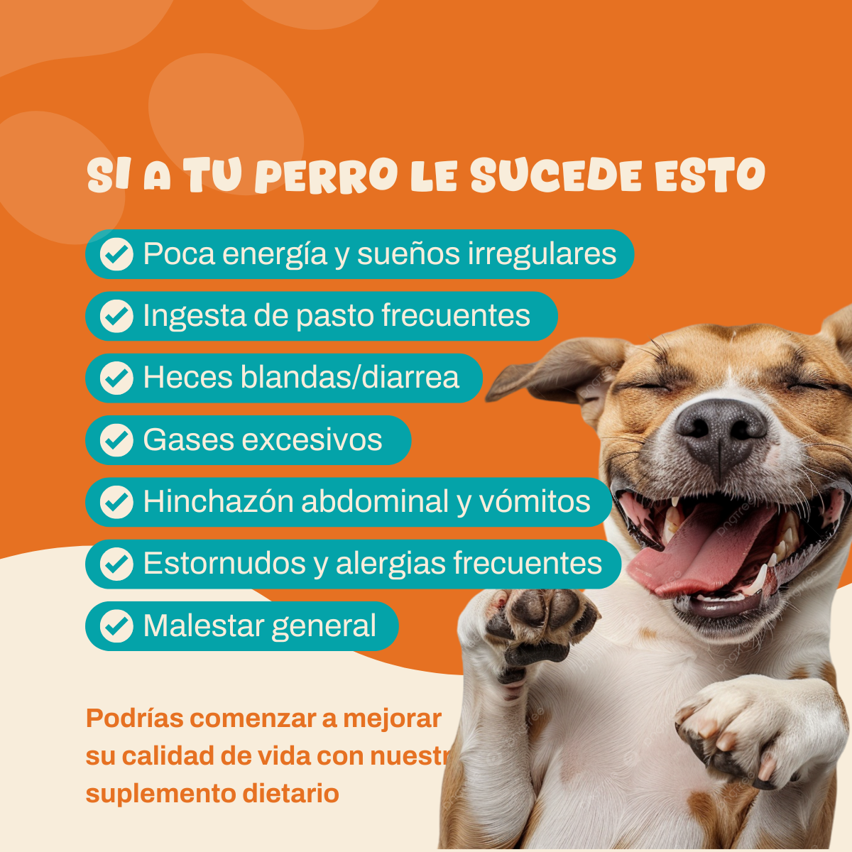 Probioticos | Regula la salud intestinal, digestiva y alergias