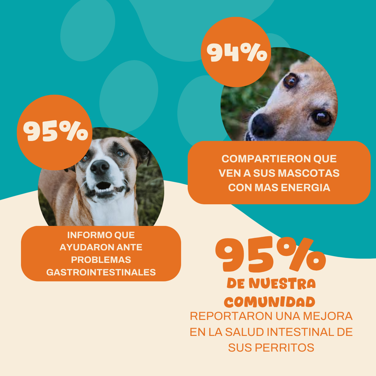 Probioticos para perros