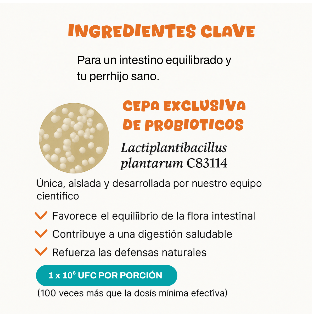 Probioticos | Fortalece la salud de tu perrhijo en menos de 30 dias