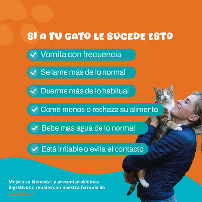 Probioticos para gatos