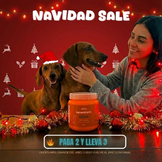 Probioticos para perros | Fortalecé la salud de tu perrhijo desde adentro