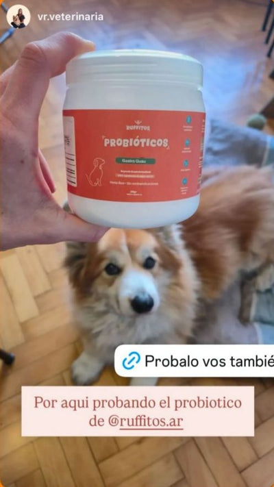 Vr.veterinaria