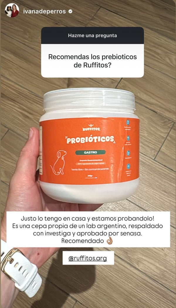 @Ivanadeperros