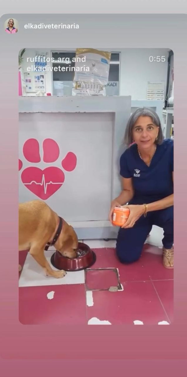 El-Kadi Veterinaria