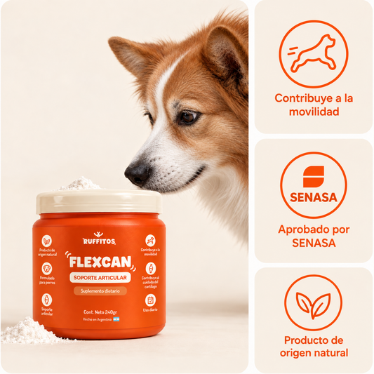 Flex Can - Osteoarticular perros