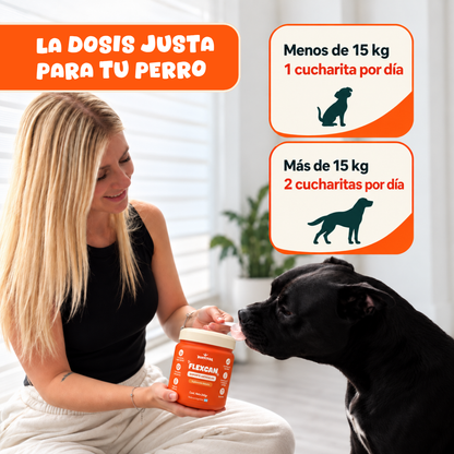 Flex Can - Osteoarticular perros
