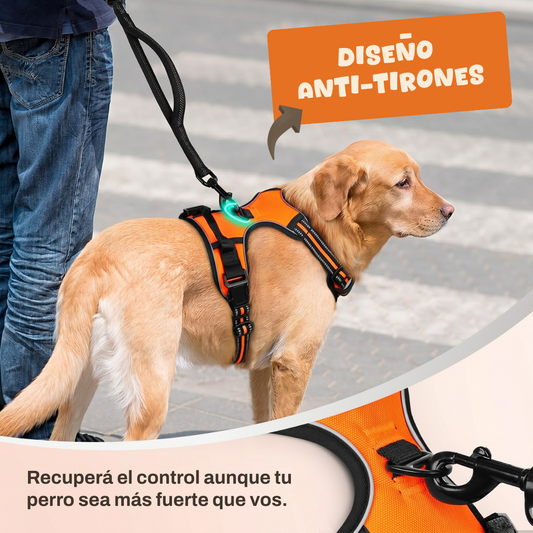 Arnes Anti-Tirones Reflectante