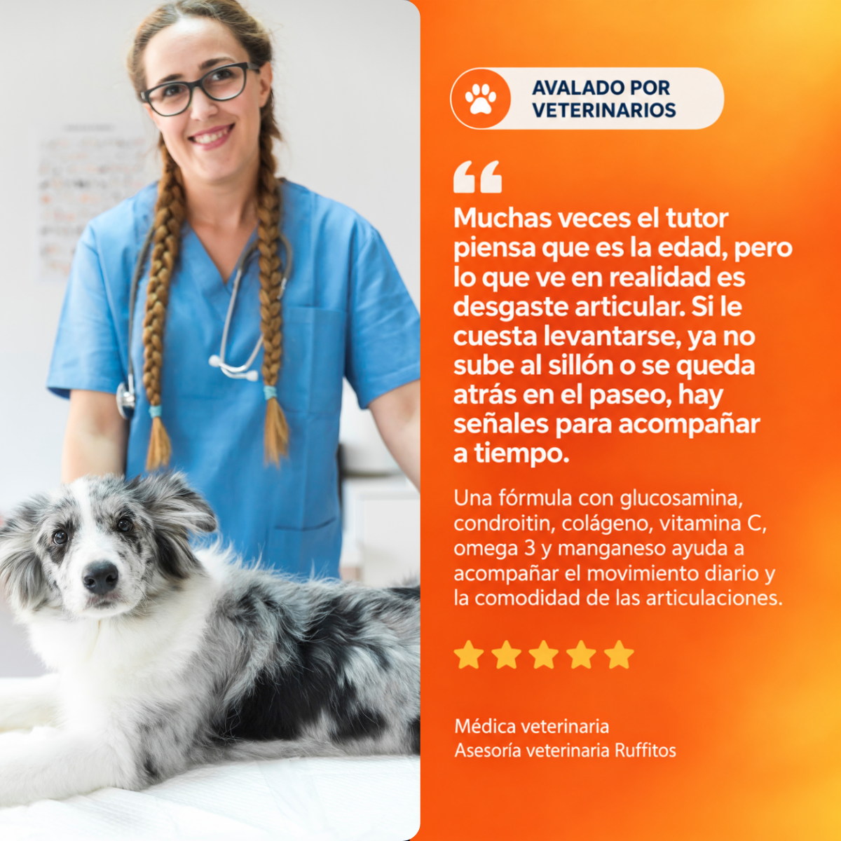 Flex Can - Osteoarticular perros