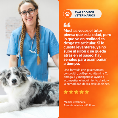Flex Can - Osteoarticular perros
