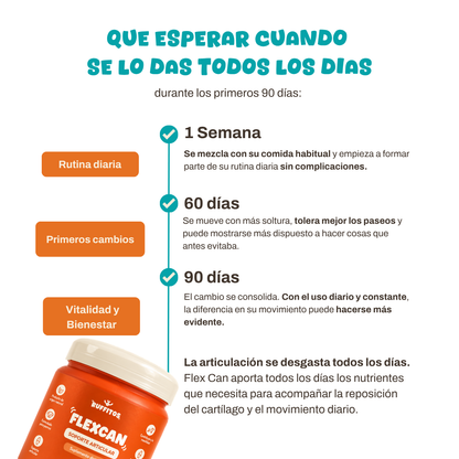 Flex Can - Osteoarticular perros