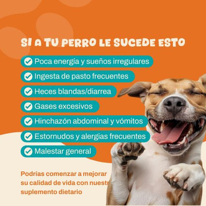 Gastro Power™ - Probioticos  | Eliminá el malestar intestinal de tu perrito en 30 días