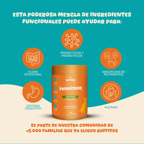 Gastro Power™ - Probioticos  | Eliminá el malestar intestinal de tu perrito en 30 días