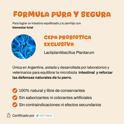 Probioticos para perros | Fortalecé la salud de tu perrhijo desde adentro