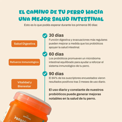 Probioticos para perros | Fortalecé la salud de tu perrhijo desde adentro