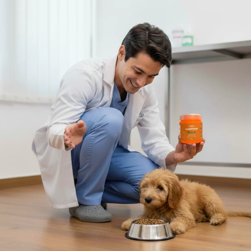 Veterinario dándole los probióticos Ruffitos a un cachorro junto a su comedero