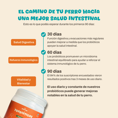 Probioticos | Fortalece la salud de tu perrhijo en menos de 30 dias