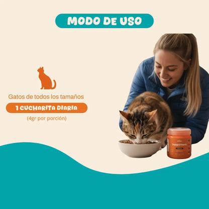 Probioticos para gatos