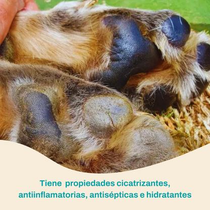 Balsamo para patas y hocico